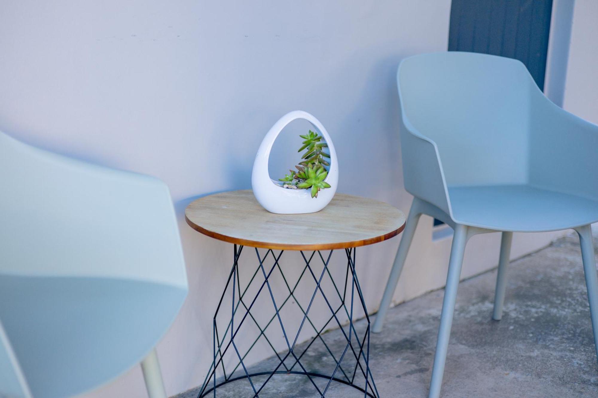 Three Small Trees 伊丽莎白港 外观 照片